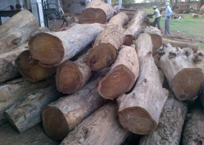 imported wood