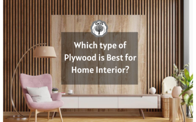 Which type of Plywood is Best for Home Interior?
