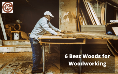 6 Best Woods for Woodworking