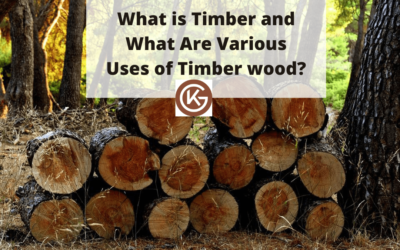 What is Timber and What Are Various Uses of Timber wood?
