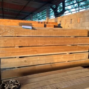 Mexican Teak Wood