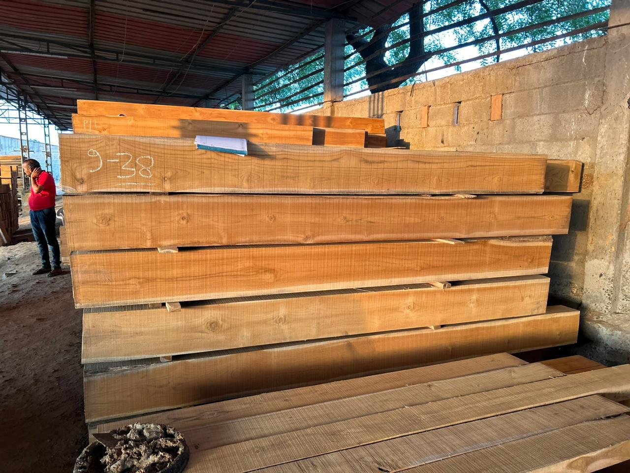 Mexican Teak Wood
