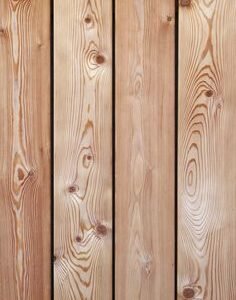 Pine Wood
