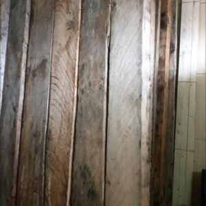glo panel testing
